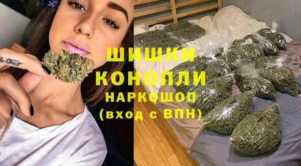 эйфоретик Покачи