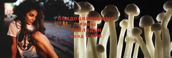 эйфоретик Покачи