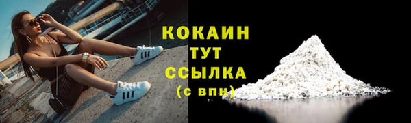 твердый Покровск