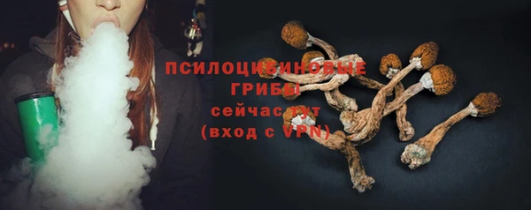 твердый Покровск