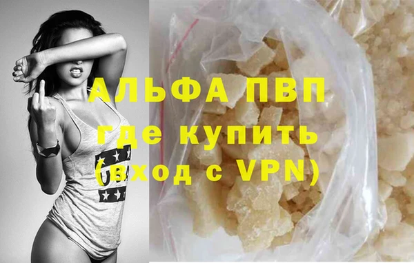 эйфоретик Покачи