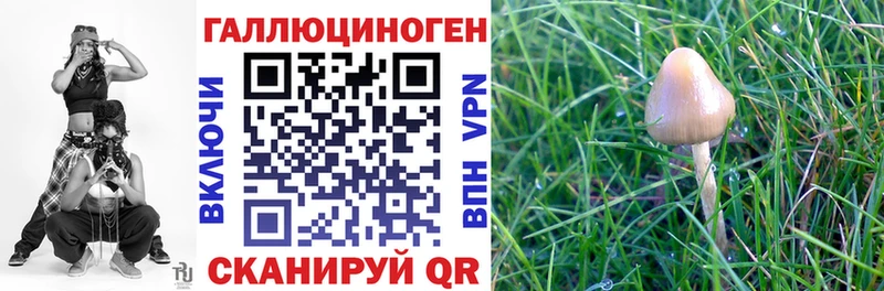 Галлюциногенные грибы Cubensis  как найти закладки  Яровое 
